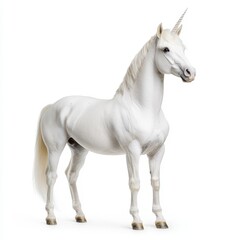 White Unicorn Portrait Against White Background