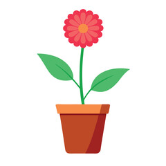 A create zinnia flower brance and with pot on white background 1.