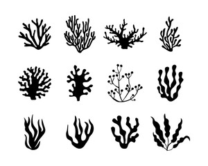 vector set silhouette of seaweed coral and algae underwater fauna