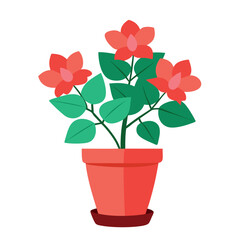Create a azalea flowers with pot on white background 5.