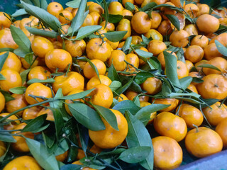 Orange fruit, fresh pile of ripe oranges with vibrant color and glossy skin, perfect for healthy food, citrus background, or vitamin C concept.

