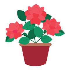 Create a azalea flowers with pot on white background 4.