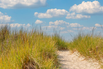 Fototapeta premium Sandy path through beach grass under a vibrant blue sky with clouds