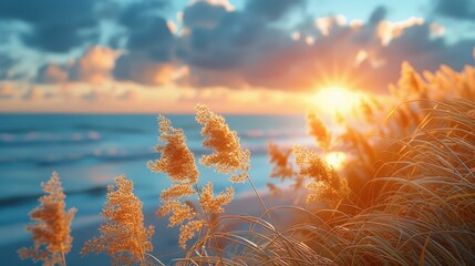 beach grass moving in warm sea breeze