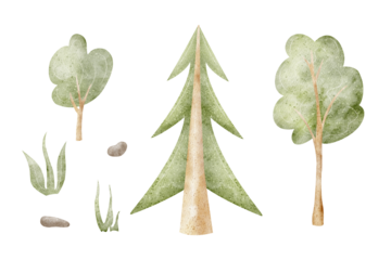 Watercolor illustration tree crown, spruce, greenery, foliage. Set of hand drawn in cartoon children style bush, grass on isolated background for design postcards, posters, invitations, holiday, decor