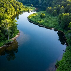 Fototapeta premium lake in the forest