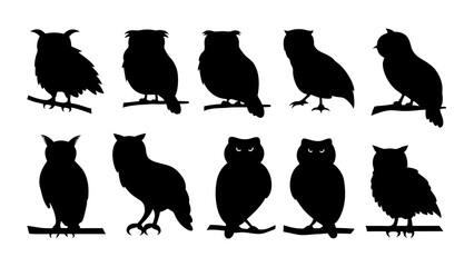set of owl silhouette vector on tranparent background