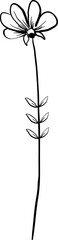 black and white flower hand drawing doodle
