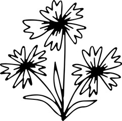 black and white flower hand drawing doodle