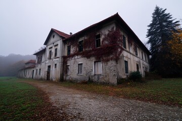 Obraz premium Mysterious abandoned building covered in ivy on a foggy morning in the countryside