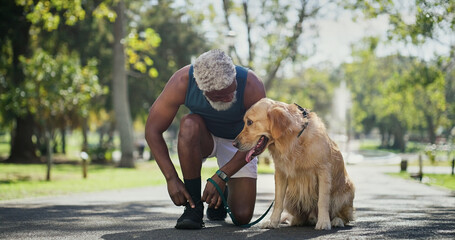 Dog walking, lace and tie with black man in park for cardio exercise, fitness or health hobby. Leash training, pet performance and start with animal owner outdoor in nature for summer workout