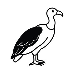 Fototapeta premium Vultures Vector Stylish and Elegant Design Isolated