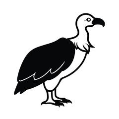 Vultures Vector Silhouette Dynamic Pose with Noble Appearance