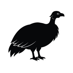 Vultures Vector Silhouette in Dynamic Pose