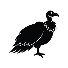 Flying Vultures Vector Silhouette in Motion