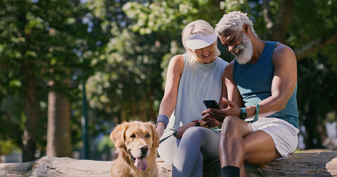 Mature couple, dog and park with phone and web scroll with social media and pet outdoor. Morning, love and space of interracial relationship with animal, fitness break and tech with golden retriever - Powered by Adobe