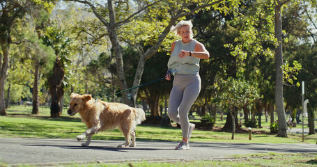 Dog walking, running and time with woman in park for cardio exercise, fitness or health hobby. Leash training, pet obedience and watch with mature animal owner outdoor in nature for summer workout