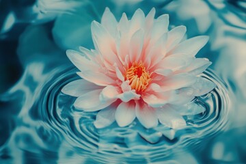 Obraz premium Splashing fog blooms, radiant ripple to the background