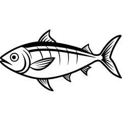 Minimal Bonito Fish Vector on White