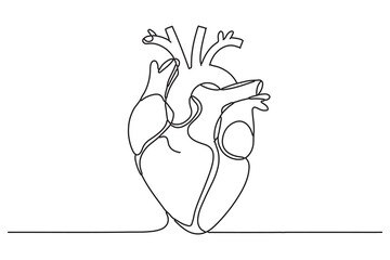 Heart continuous single line art drawing Minimalistic Doodle vector illustration
