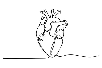 Heart continuous single line art drawing Minimalistic Doodle vector illustration
