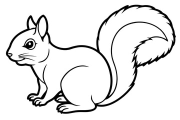 Squirrel vector illustration line art and white background