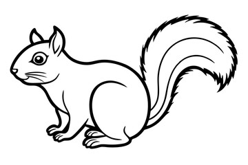 Squirrel vector illustration line art and white background