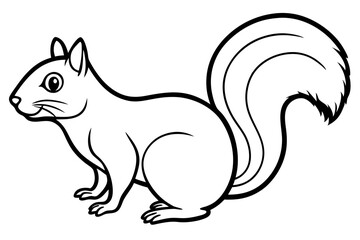 Squirrel vector illustration line art and white background