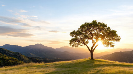Obraz premium serene landscape featuring solitary tree hilltop during golden hour, with mountains background