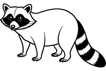 Raccoon vector illustration and white background