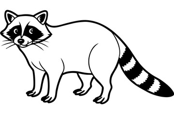 Raccoon vector illustration and white background