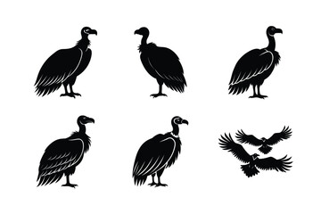Obraz premium Wild Vulture Vector Silhouette In Flight