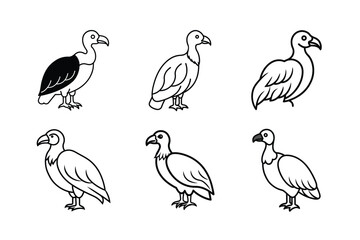 Soaring Vulture Vector With Powerful Wings