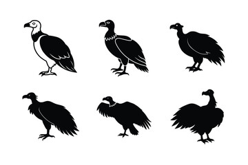 Vulture Dynamic Flight Vector Silhouette