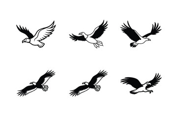 Predator Bird Vulture Vector Silhouette