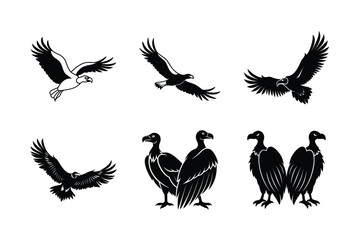Epic Flying Vulture Vector Artwork