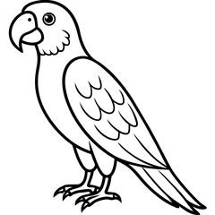 Parrot vector illustration line art and white background