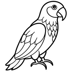 Parrot vector illustration line art and white background
