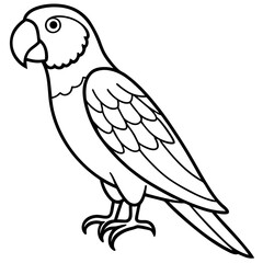 Parrot vector illustration line art and white background