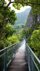 Fototapeta premium Langkawi jungle bridge suspended over lush gorge, tropical trees and filtered misty light