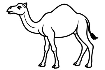Fototapeta premium Camel vector illustration line art and white background