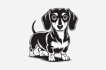 dachshund dog illustration vector