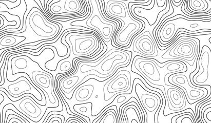 Abstract wave curve topo grid map with Geographic mountain relief. Abstract lines background. Contour maps. Lines Topographic contour lines map seamless pattern. 