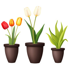 Tulip Flower Pots