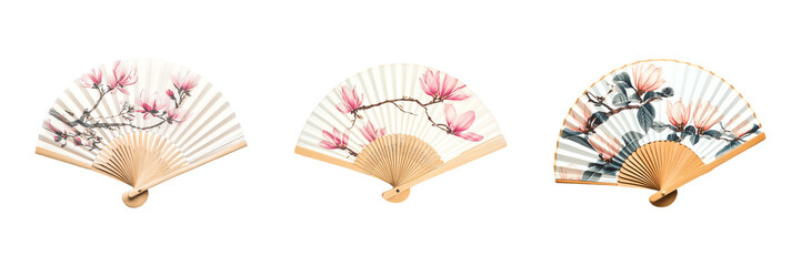 Set of Magnolia Hand Fan isolated on a transparent background,
