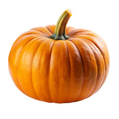 Obraz premium pumpkin isolated on white background