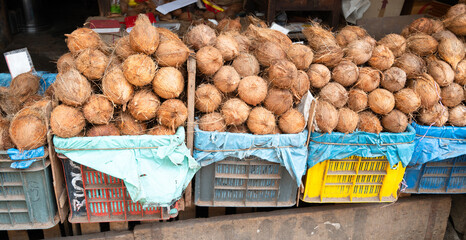 Fresh coconuts on a market stall in India, tropical fruit and milk drink, beach of Goa, Nam Hom coconut