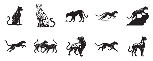Cheetah Power Activities Silhouette Vector Set Sprinting, Leaping, Roaring, Hunting on White Background