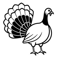 Fototapeta premium vector silhouette of a turkey with fanned tail feathers, standing proudly, white background