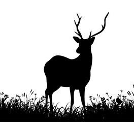 Silhouette of a deer standing in tall grass against white background